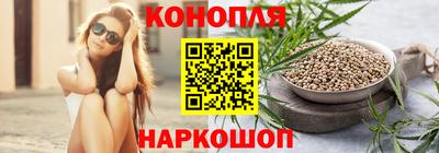 крисы Тулун