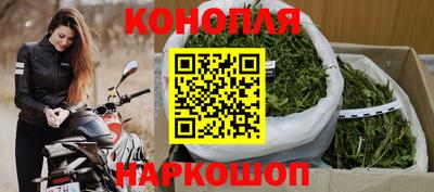 крисы Тулун
