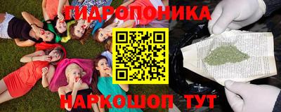 крисы Тулун