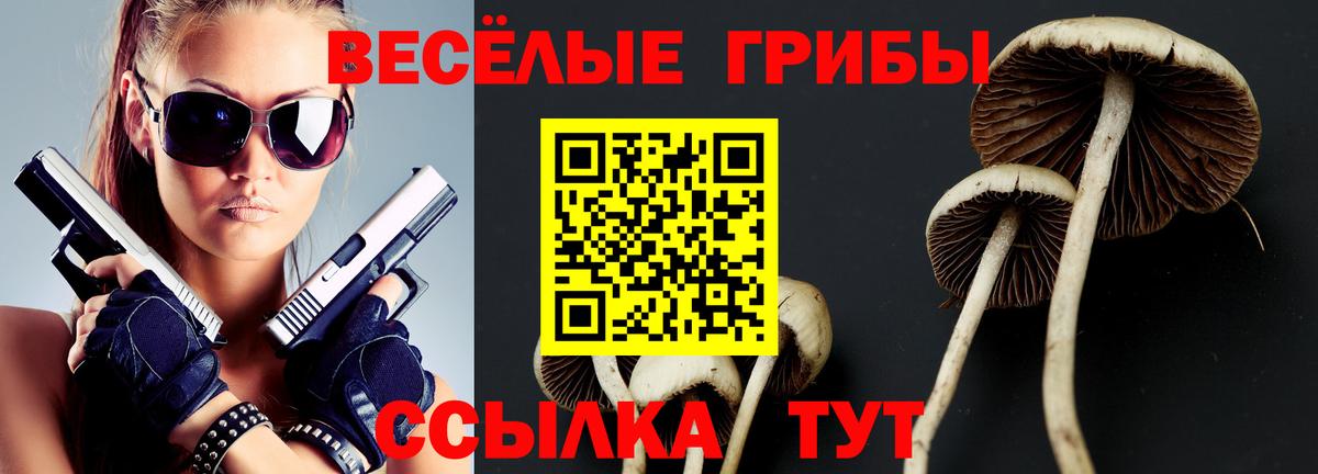 Псилоцибиновые грибы Psilocybine cubensis Астрахань